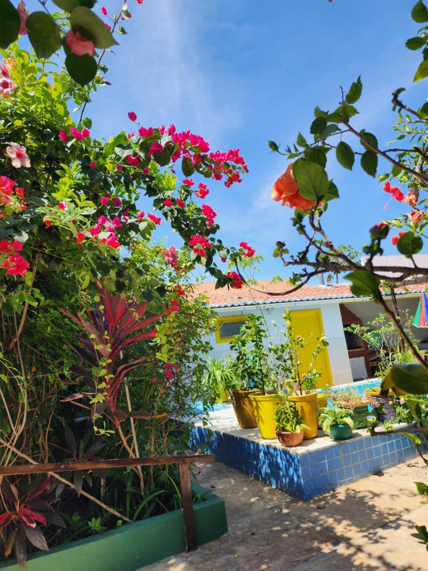Maceió Mandala Dreams Pousada E Portal Holistico מראה חיצוני תמונה