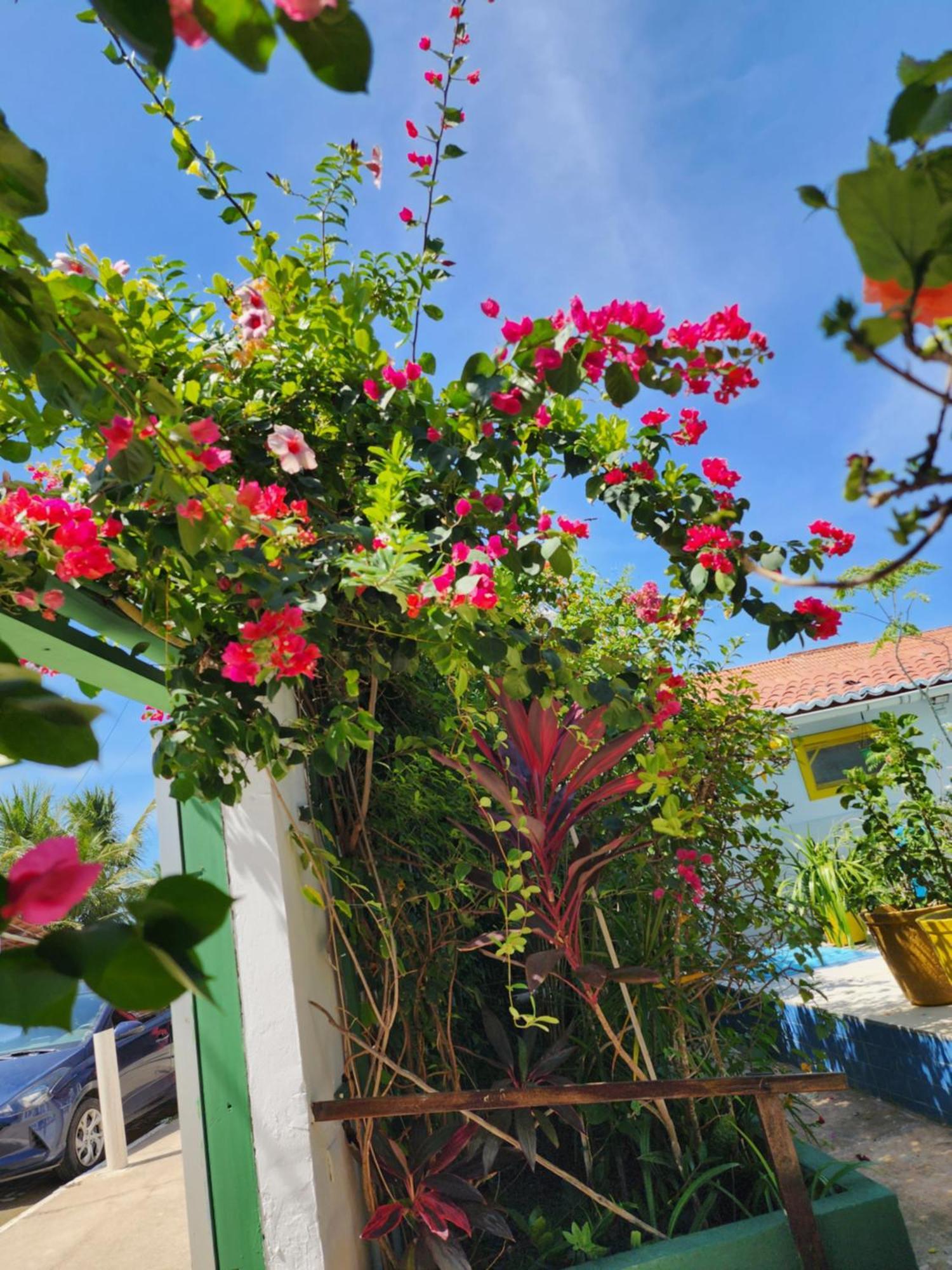 Maceió Mandala Dreams Pousada E Portal Holistico מראה חיצוני תמונה