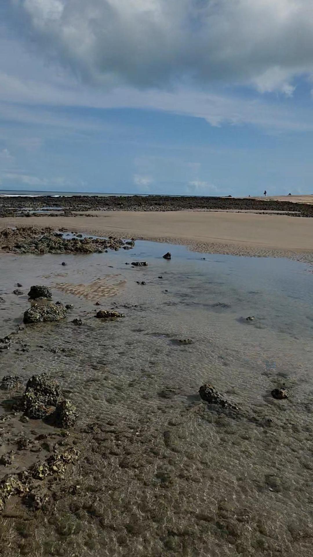 Maceió Mandala Dreams Pousada E Portal Holistico מראה חיצוני תמונה